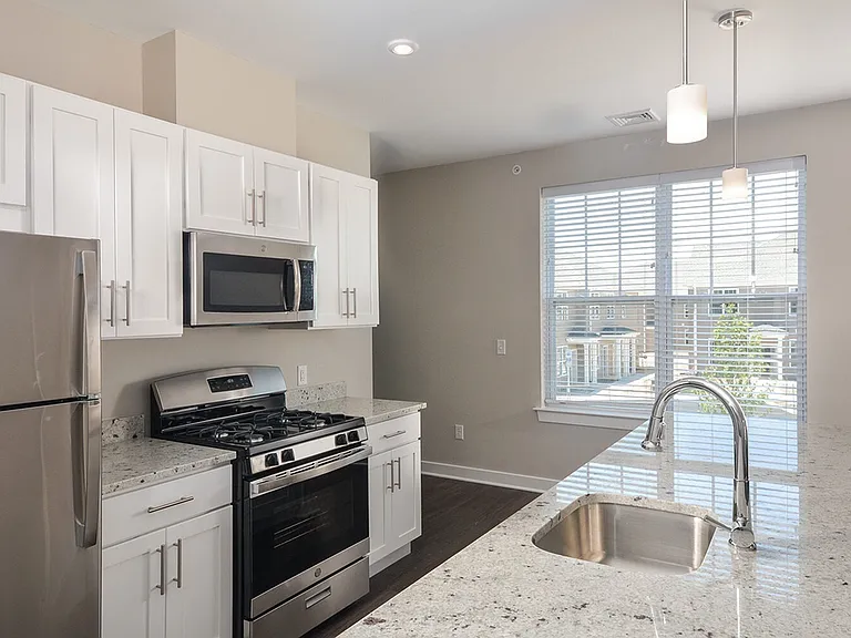 Modern Kitchen
