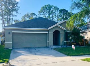 2704 Star Coral Ln, New Smyrna Beach, FL 32168