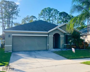 2704 Star Coral Ln, New Smyrna Beach, FL, 32168