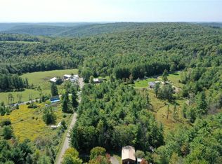 0 Chambers Rd #40, Beaver Dams, NY 14812