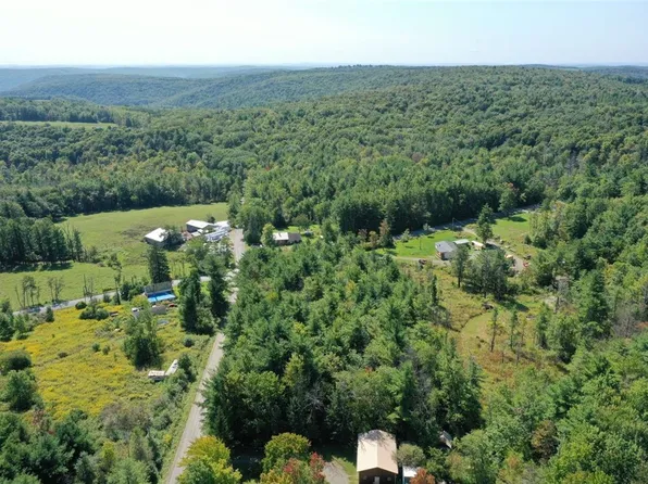 0 Chambers Rd #40, Beaver Dams, NY 14812