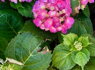 177 Prairie St, Myrtle Creek, OR 97457