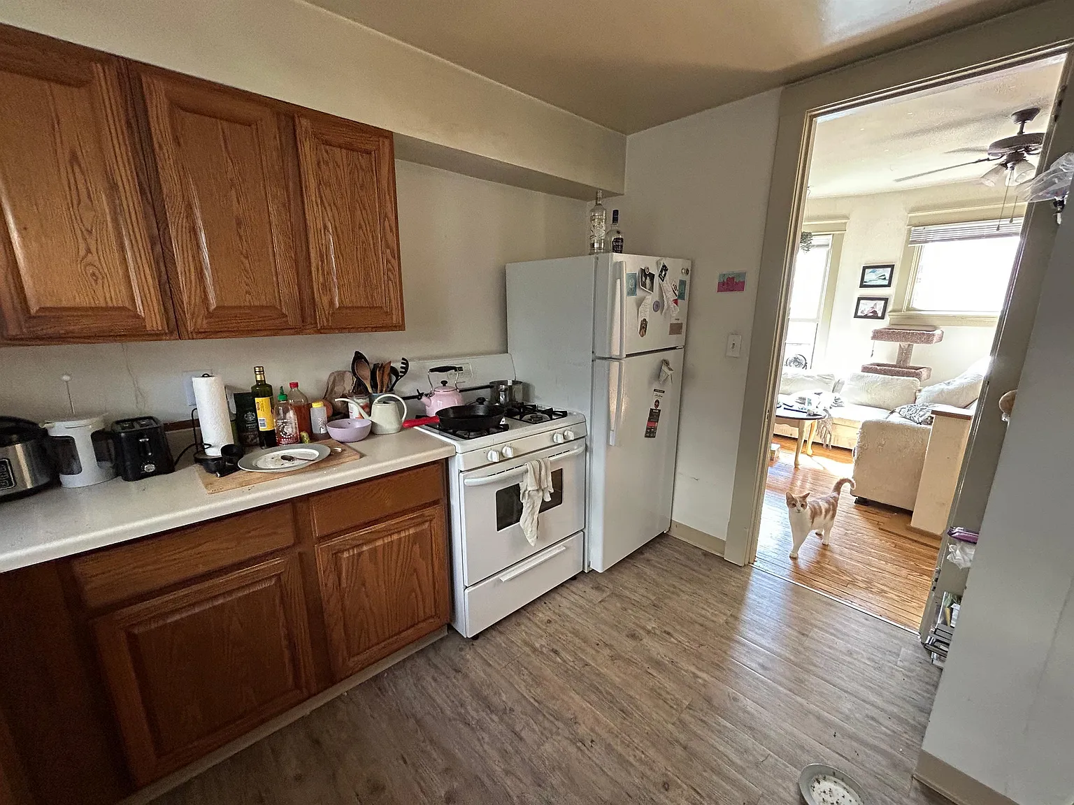 125 East Gorham Street - Unit 101 — Photo 3