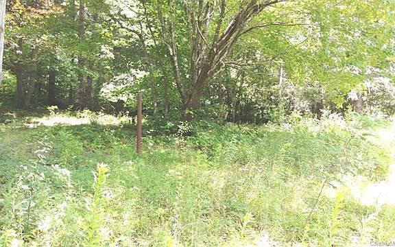 5th image of 255 Sheepback Mountain Rd