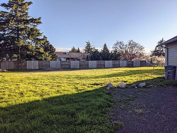 Back yard southern view