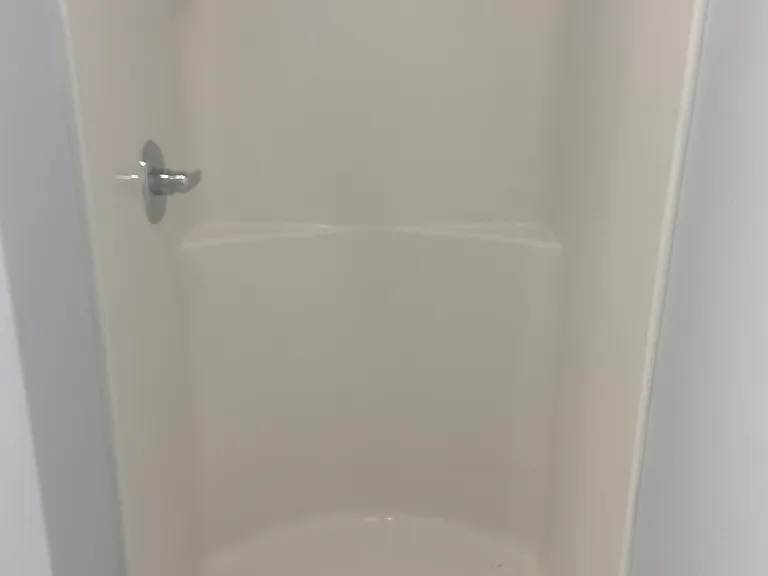 Master bathroom shower