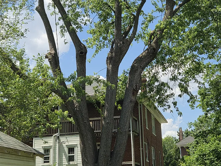 914 Dewey Ave #914 — Photo 20
