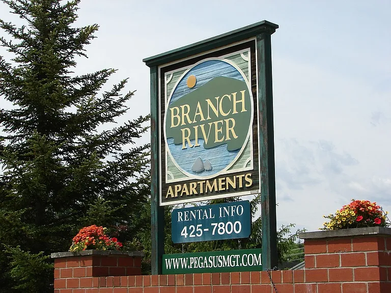 Branch River — Photo 11