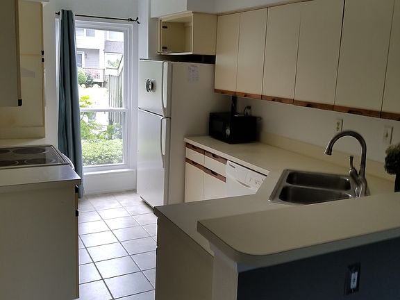 Kithen with Electric Stove, Microwave and Dishwasher