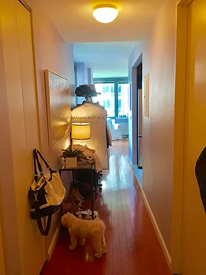 Rented by MG Realty NYC | media 2