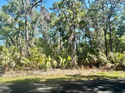 5261 E Tangelo Ln LOT 16, Inverness, FL, 34453
