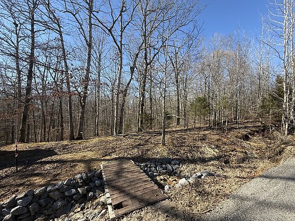 2nd image of 28 Backwoods Estates Lot 28