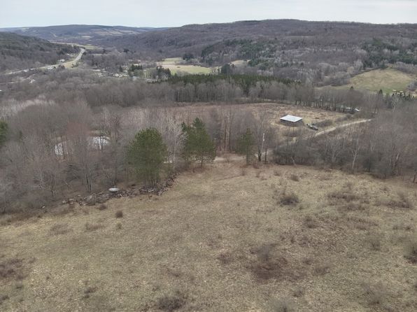 1972 Monegan Rd, Canaseraga, NY 14822