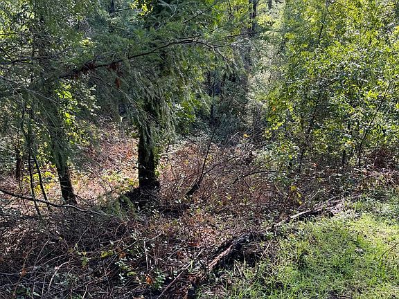 4th image of 45 Morelli Lane