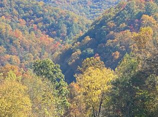 1 Rocky Rd #DEL, Del Rio, TN 37727