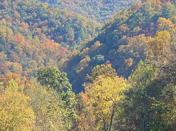 1 Rocky Rd #Del, Del Rio, TN 37727