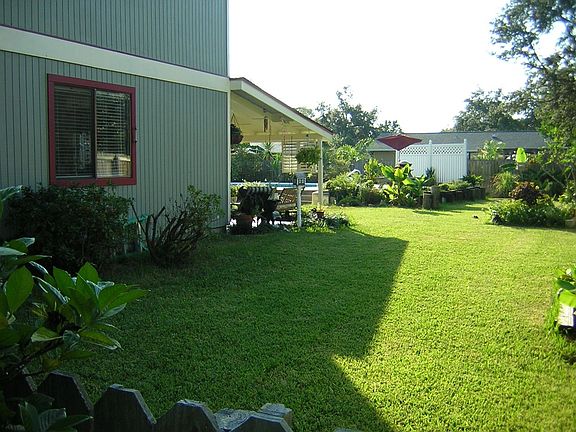 Back yard