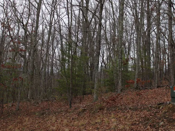 10 Thunder Rd, Hayesville, NC 28904