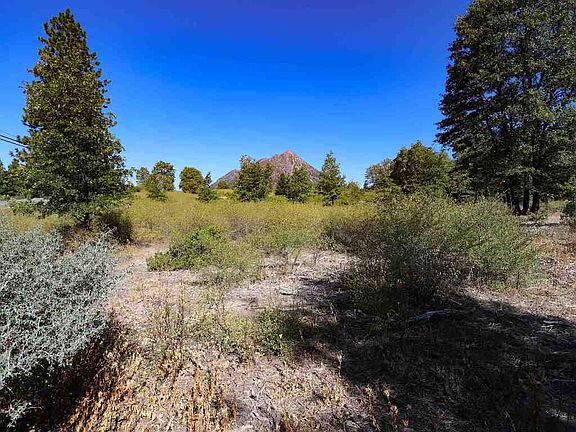 4th image of 9.2 Acres Spring Hill Dr