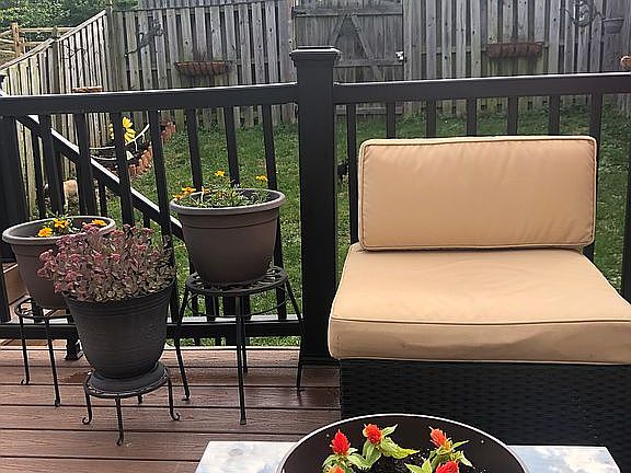 Maintenance free deck