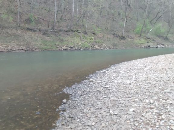 Caught my first catfish here