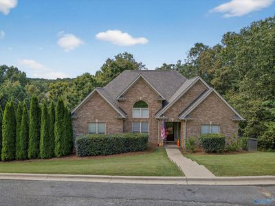 50 Mason Dr, Odenville, AL, 35120