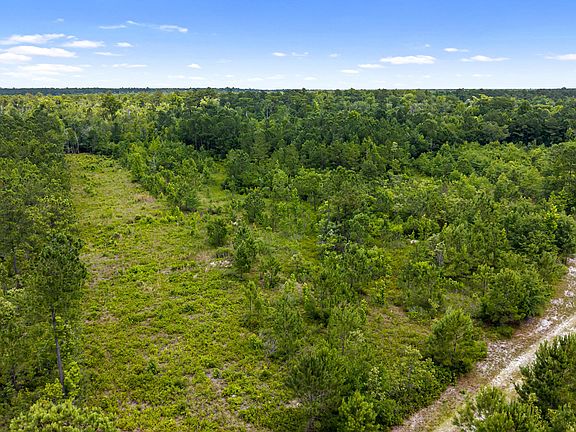 3rd image of 0 Tbd 110 Acres American Way Road