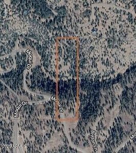 1129 W MOQUI Drive #9, Happy Jack, AZ, 86024