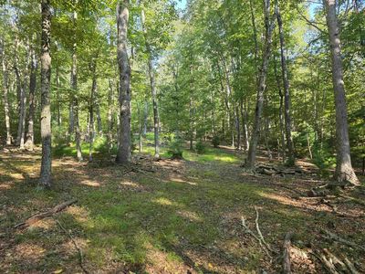 6535 Mill Creek Rd, Millboro, VA, 24460