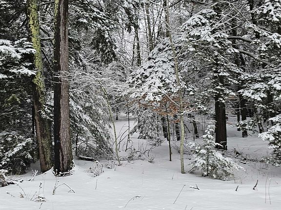 4th image of 0 N Knollwood Dr