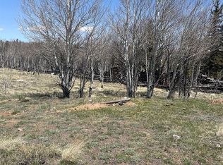 83 Pelican Pl #78, Como, CO 80432