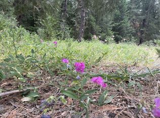 410 Gratten Flat Rd, Weaverville, CA 96093