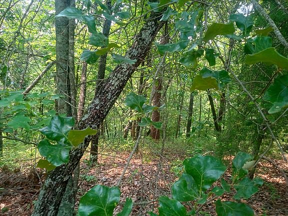 5th image of 1227 Hilton Dr