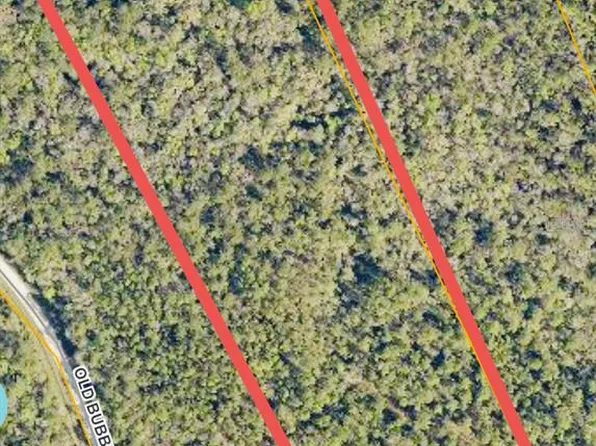 980 Morris Pike Way #14, Pierson, FL 32180