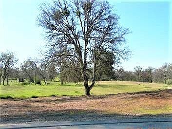 3rd image of 32230 Knob Knoll Ln
