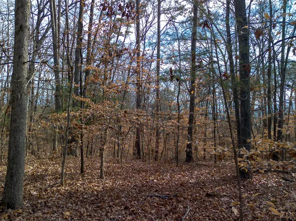 TRACT 5 Armstrong Dr, Dandridge, TN 37725