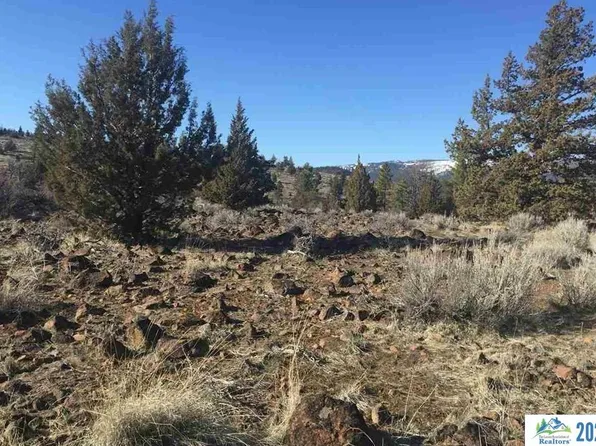 0 Cheney Creek Rd, Susanville, CA 96130