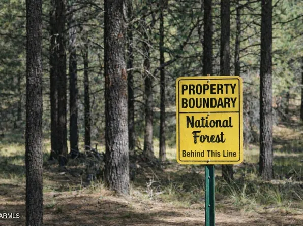 292 S Squirrels Nest Lane #11, Payson, AZ 85541