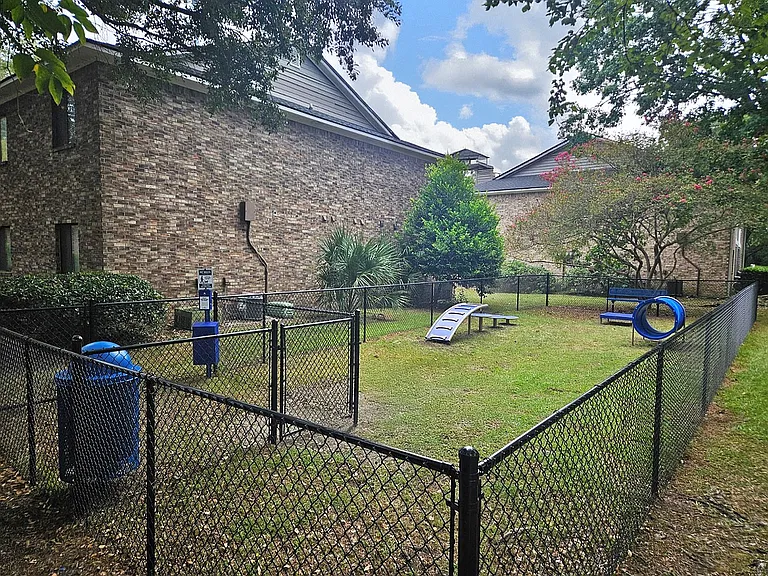 New Dog Park