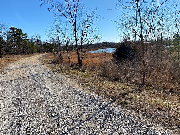 5th image of Black Bear Bluff Blf