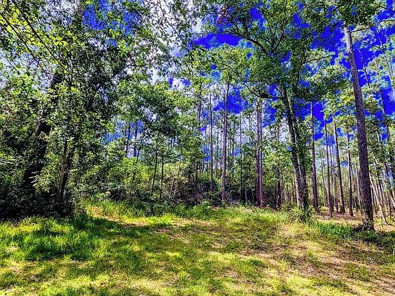 2nd image of 0 Boykin Blvd #196