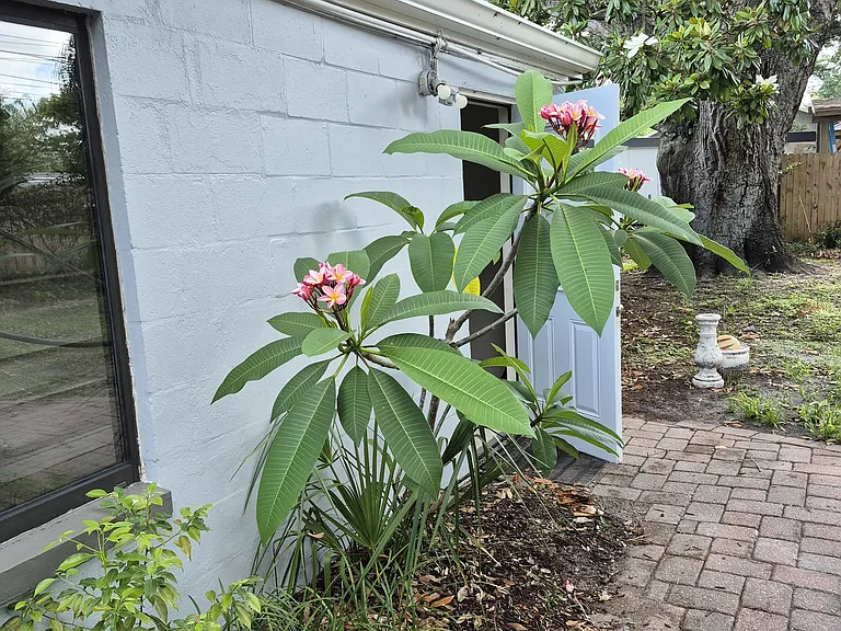 2117 Barcelona Dr — Photo 40