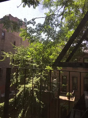 Rented by Peter Ashe | media 3