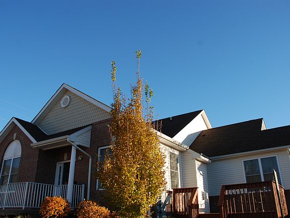 5th image of 637 Otis Pl NW