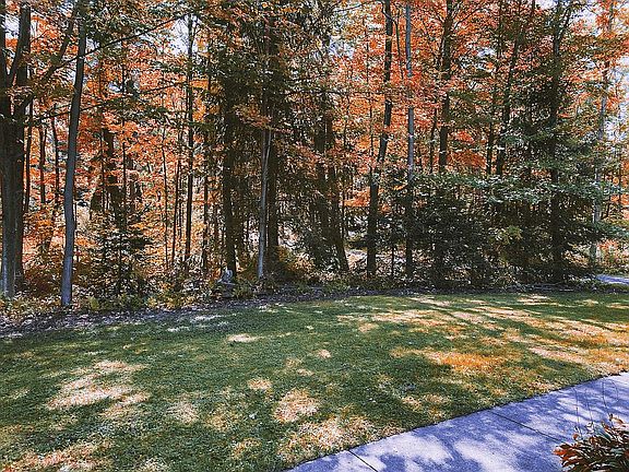 View from front porch