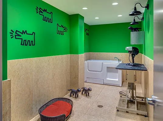 Rented by Halcyon Management Group LLC | media 27