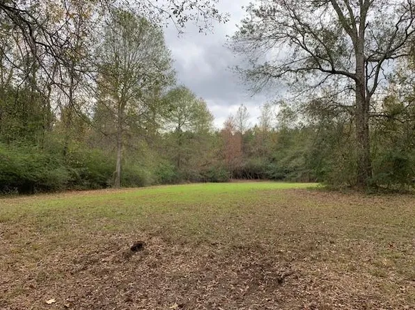 1423 McMillan Rd, Osyka, MS 39657