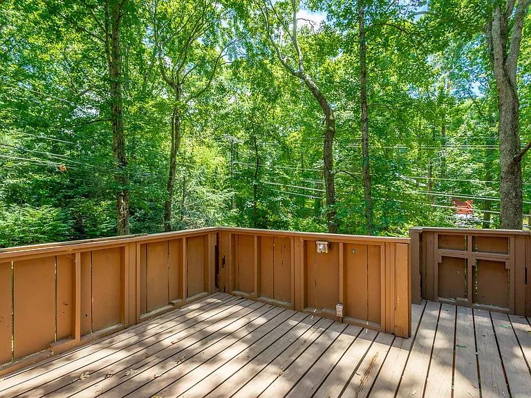 1602 Rustic Homes Ln HD-43_07132022