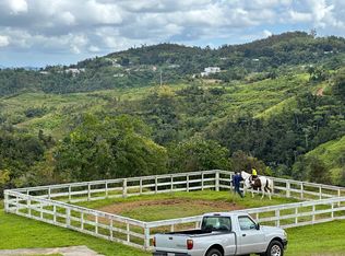 172 Street, Cidra, PR 00739