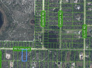 2163 Petunia Ave, Sebring, FL 33875